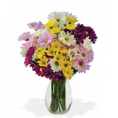 Bouquet of Flowers Daisy Daisy